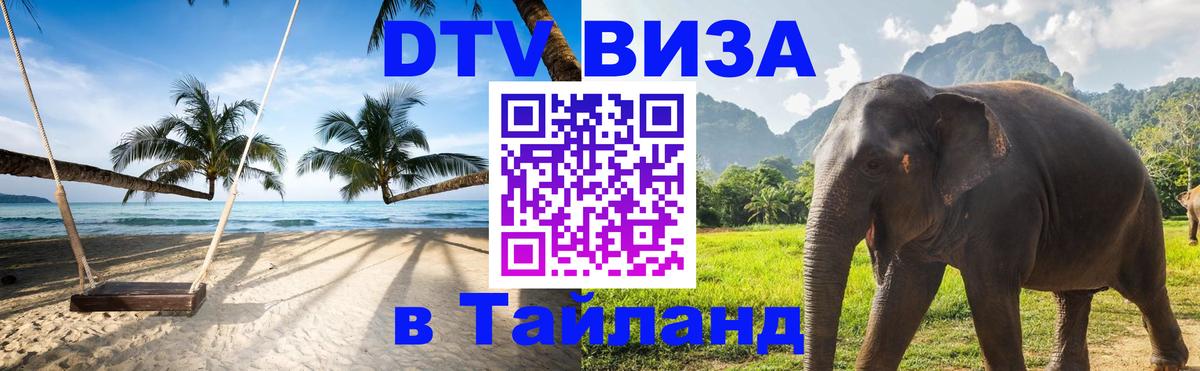 Оформление DTV визы под ключ: стоимость и тарифы, только загранпаспорт - Саранск 